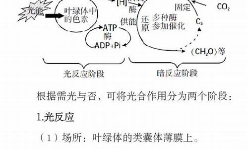 高考生物光合作用大题,高考生物光合作用大题及解析