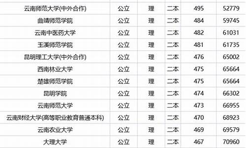 云南二本公办大学排名及分数线,云南二本公办大学排名及分数线是多少