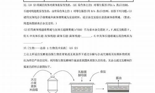 2008高考理科综合,2008高考理综全国卷